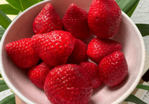 Tag 9 Frühstück: Erdbeeren